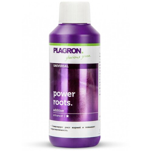  Plagron Pure Zym 100   , -, 