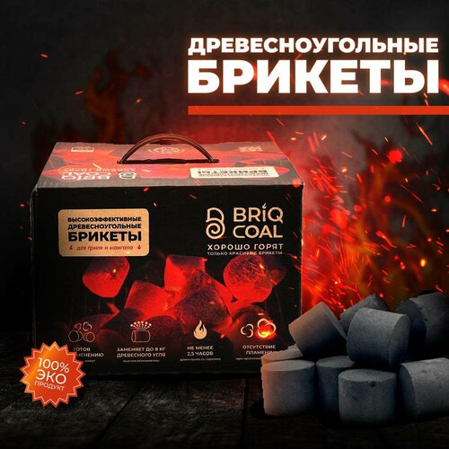 BriqBOX 4  -    BRIQCOAL   , -, 