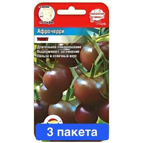 ���������� ������ ������ ��������� ��� 