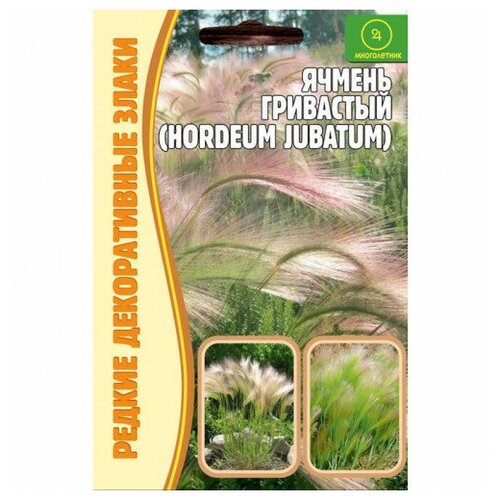     (Hordeum jubatum) (0,1 )