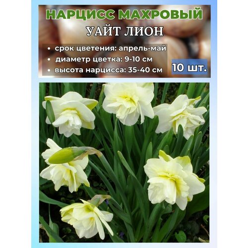 ���������� ������� ��������, �������� 10 ����