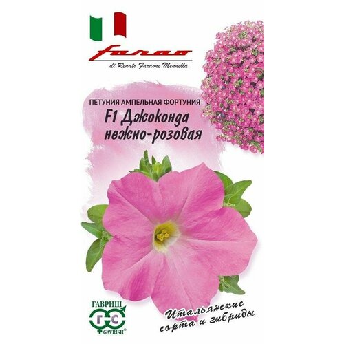 ���������� ������ ������� �������� F1 �����-������� 10�� (������)