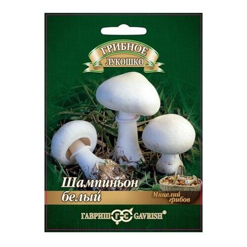 ���������� ������� ������ ������ ��������� ����� �� �������� ��������� 15 ��