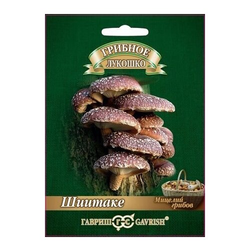 ���������� ������� ������ ������ ������� ������� ������� �� ��������� ������� 12 ��.