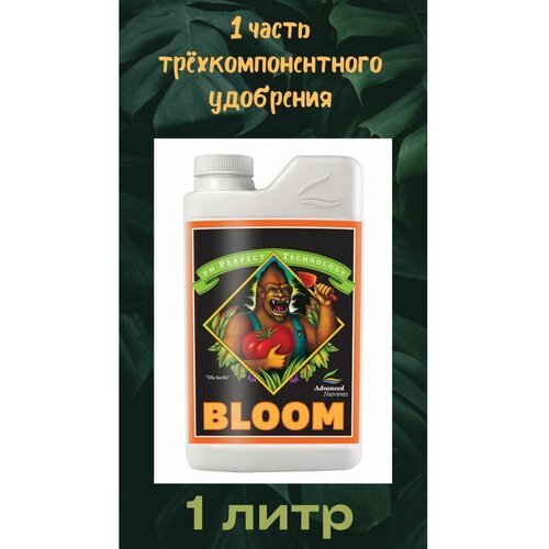 ���������� PH Perfect Bloom 1 � | Advanced Nutrients