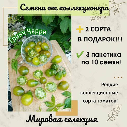 ���������� ����� ���� ����� �����, ������� ��������, ������������� ����