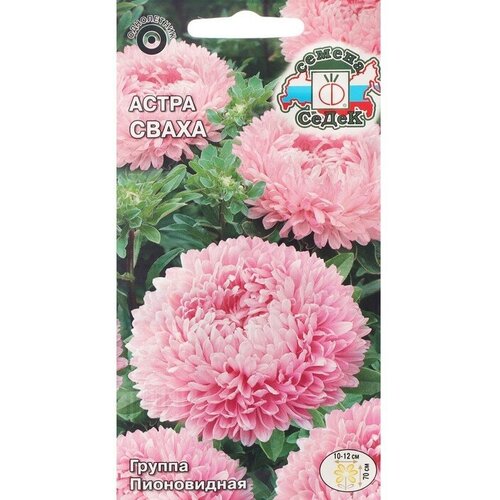 ���������� ������ ������ ����� 