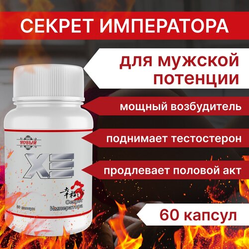 ���������� ������� ����������� ����������������� 