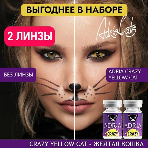   ADRIA Crazy, 2 ., R 8,6, D 0, yellow cat, 2 .   , -, 