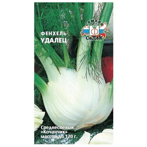 ���������� ������ ������� ����� ������