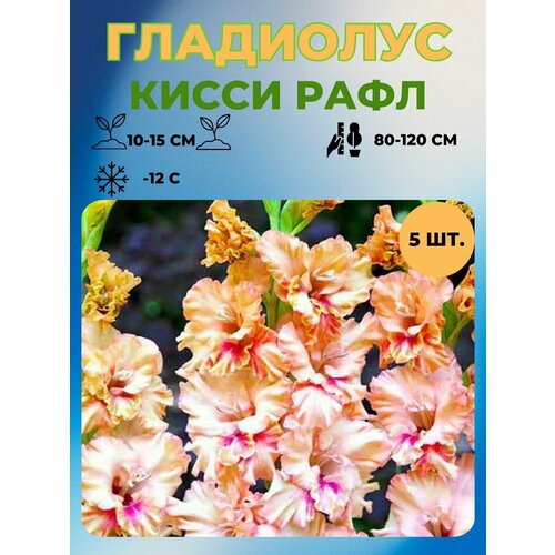 ���������� ��������� �������� 5 ��.