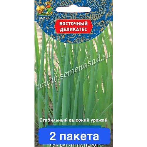 ���������� ������ ������ ����� 