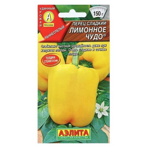 ���������� ������ ����� ������� 