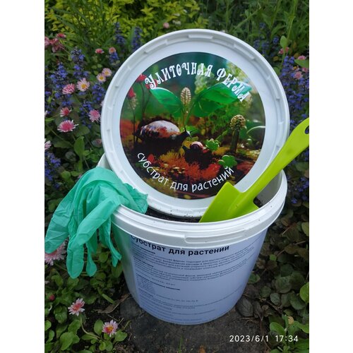 ���������� ������� ����� ��� ��������� �������� � ����������� �����. �������� �1 ��������� ����� L.