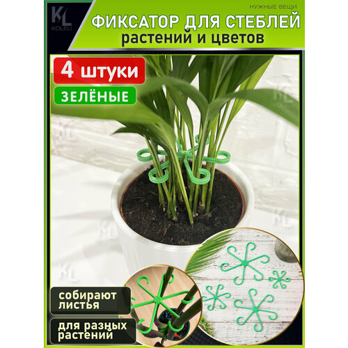 ���������� KoLeli / ������ ����� ��� ����� ������� �������� / ������ ��� ��������� � �������� ������� � �����, �������