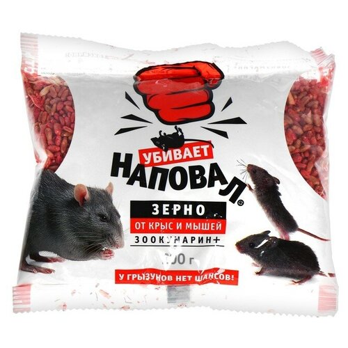 ���������� ����� �� ���� � ����� 