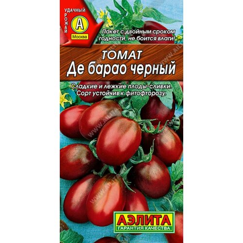 ���������� ������ ����� �� ����� ������ 20�� ����� (������)