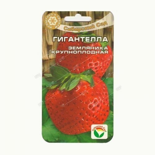 ���������� ���������� 10�� �������� (��� ���)