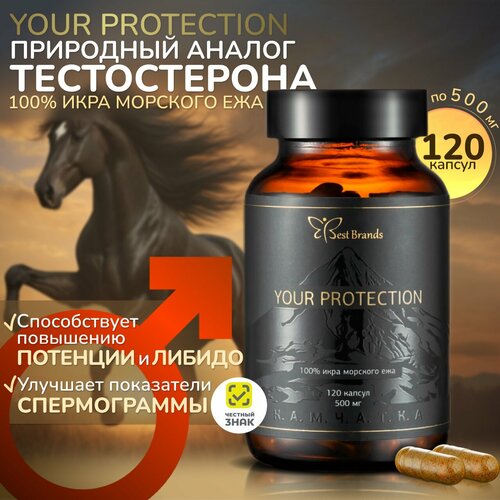 YOUR PROTECTION - 100%   .    . (120 )   , -, 