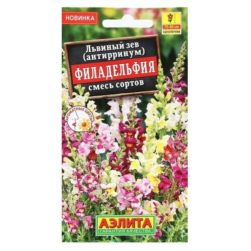 ���������� ������ ������ ������� ��� 