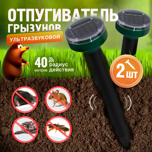 ���������� ������������ ������, �����, ����, ����, �������� ��������������, 2��.