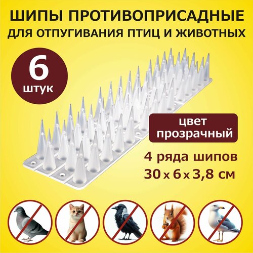 ���������� ���� ���������������� ��� ����������� ���� � �������� 300�60�38 �� �������� 6 ������, �������, ��� ������