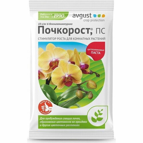   Avgust  N100 1.5    , -, 