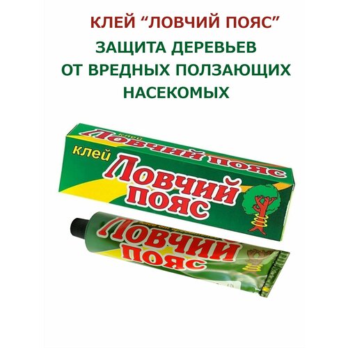 ���������� ������ ���� ������� ��� �������� �� ������� ����������, 5�