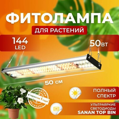       ,   ,     50  144 LED   , -, 