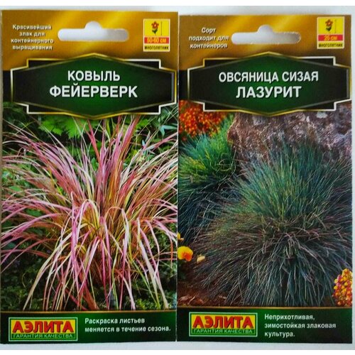 ���������� ������ ������������ ������: �������� ����� ������� � ������ ���������