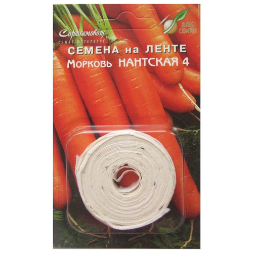 ���������� ������ ������� ��������-4 �� ����� 8� ��� ����, ����, �������, ������� / ������� � �������� ��������