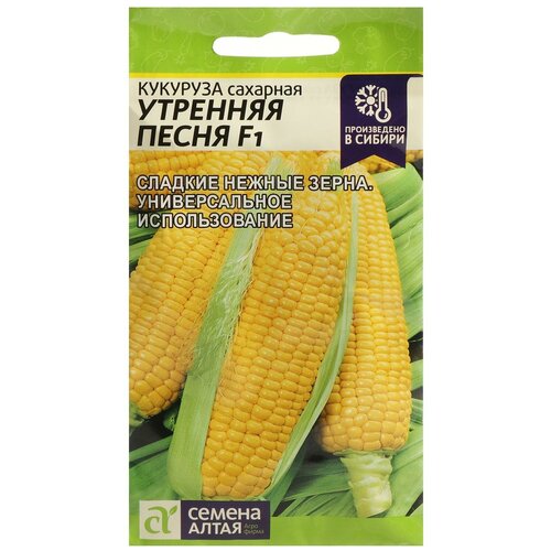 ���������� ������ �������� 