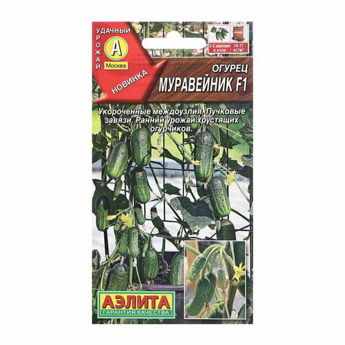 ���������� ������ ������ ���������� F1 ���� �/� 10��