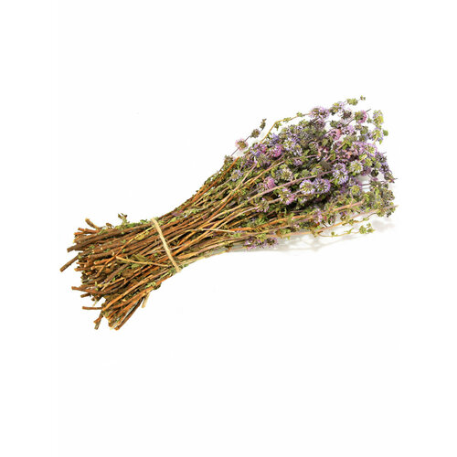 ���������� ����� �������� ���� �����, �� ���� ������, ��� ����, ������ 2024