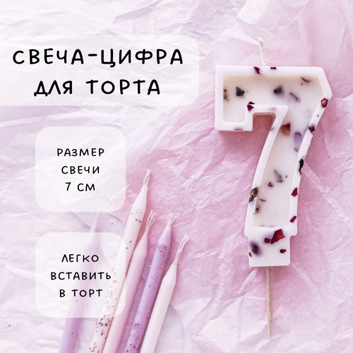 ���������� ����� ��� ����� ����� 7, ������ ������, 1��