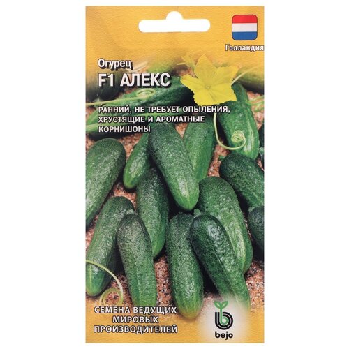 ���������� ������ ������ Bejo ������ ����� F1, �������� 5 ��.