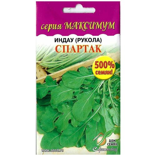 ���������� ����� ������ ������� (����� ��������), ���������� ����� � 5 ��� ������, ����� �������� �� 4 ���� ������, ��������� ������������, 1650 �����