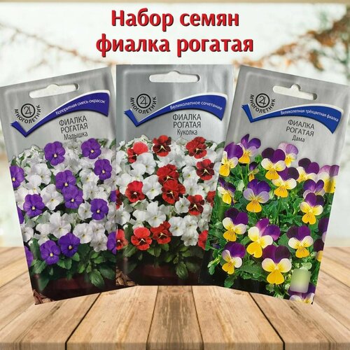 ���������� ����� ������ ������ ��� ���� � ���� ������ ������� 3 ��������