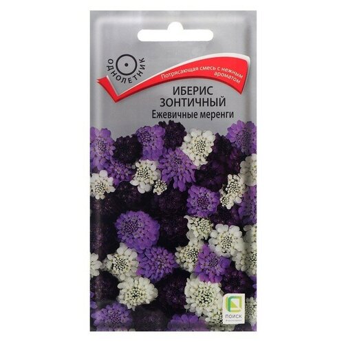 ���������� ������ ������ ������ ��������� 