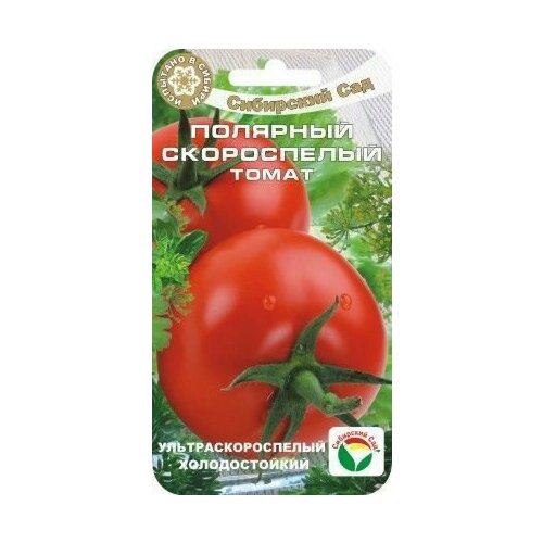 ���������� ������ ����� �������� ����������� 20�� ��� ������ (��������� ���)