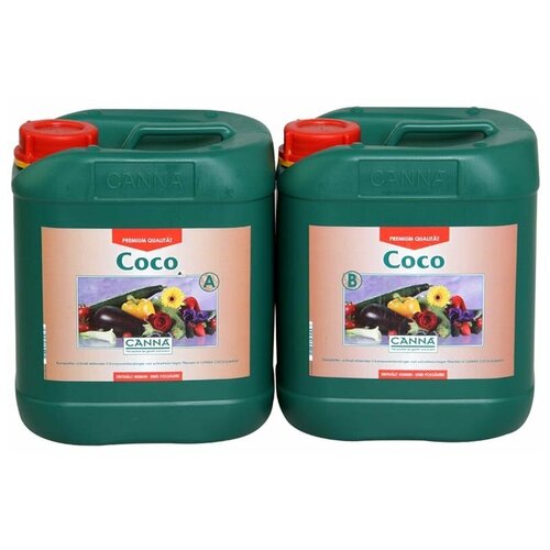 Coco A+B 5   , -, 