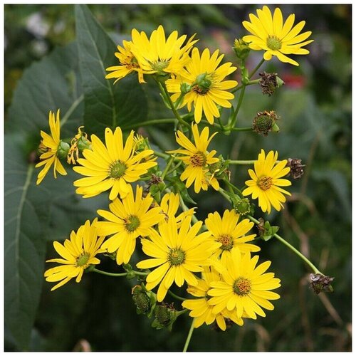 ���������� ������ ������ ������� ��������������� 30 ��.