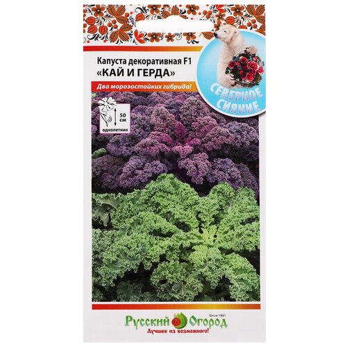 ���������� ������ ������ ������� ������������ 