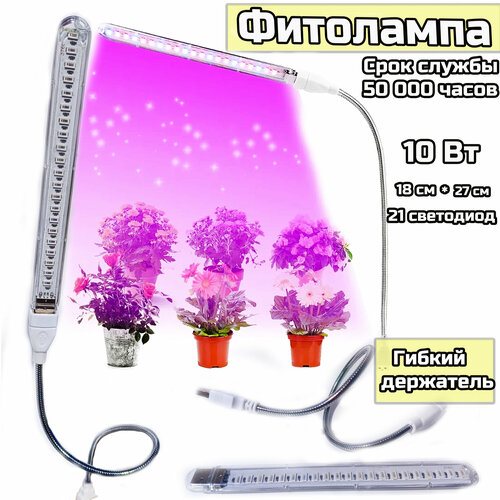 ���������� ��������� ��� ��������. ��������� ������� �������. ��������� ��� �������. 10 �