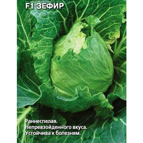 ���������� ������ ������� �/� F1 �����