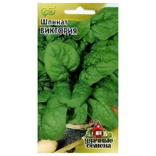 ���������� ������. ������ 