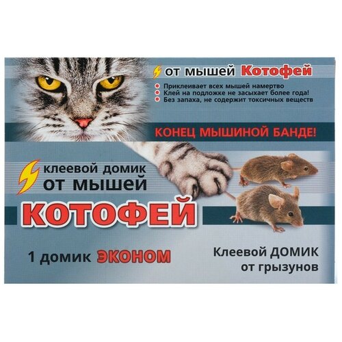 ���������� ������� ����� �� �������� 