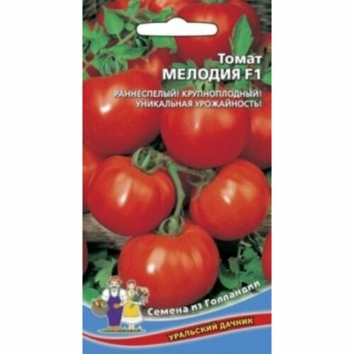 ���������� ������ ����� ������� F1 (��������� ������) ��������� 12��