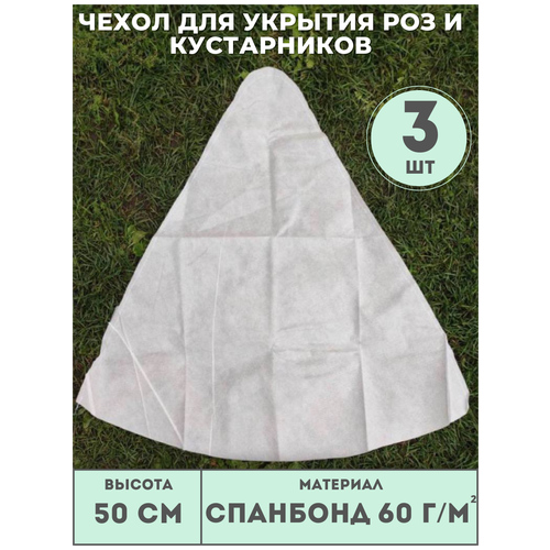 ���������� ������ ����� (������ 50��) ��� ��� � ����������� (3 ��./����.) �� ��������� 60 �/�2, ��� �������