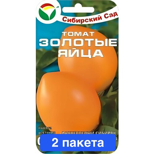 ���������� ������ ������ ��������� ��� 